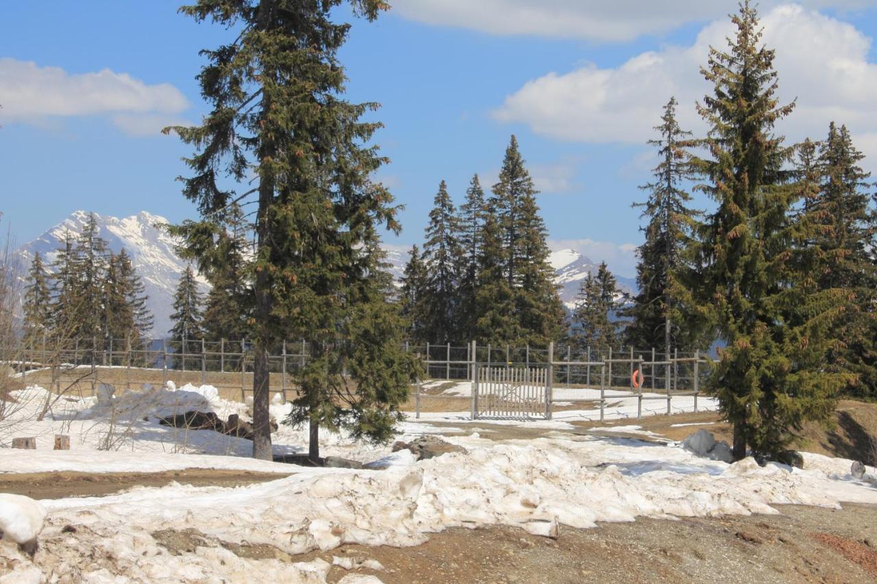 Appartement T2 Col De Merdassier Au Pied Des Pistes Manigod Εξωτερικό φωτογραφία
